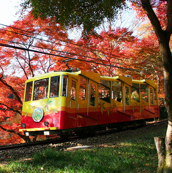 高尾登山電鉄 様<br> (ケーブルカー)